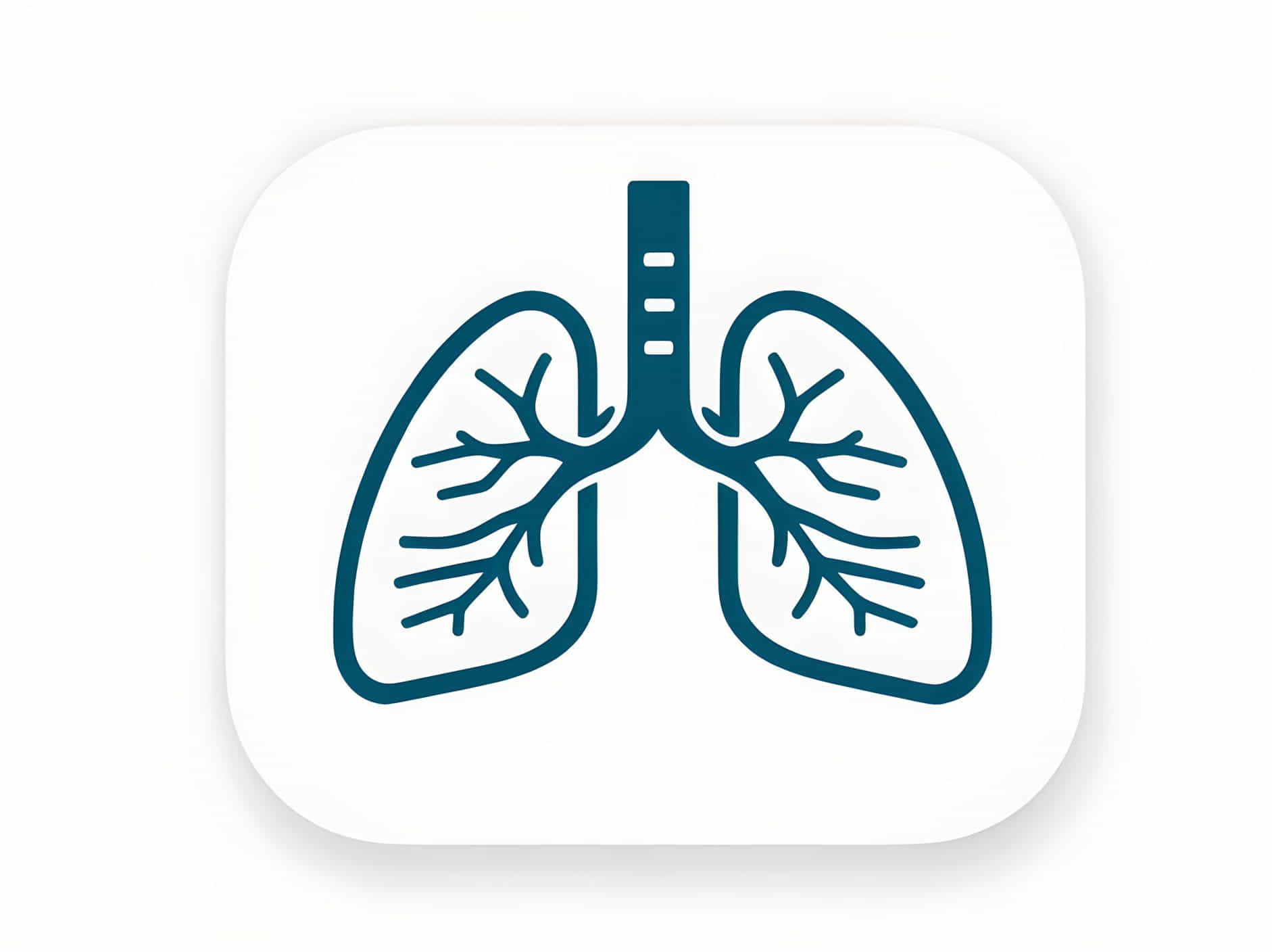 Atelectatic Changes Are Noted At The Lung Bases