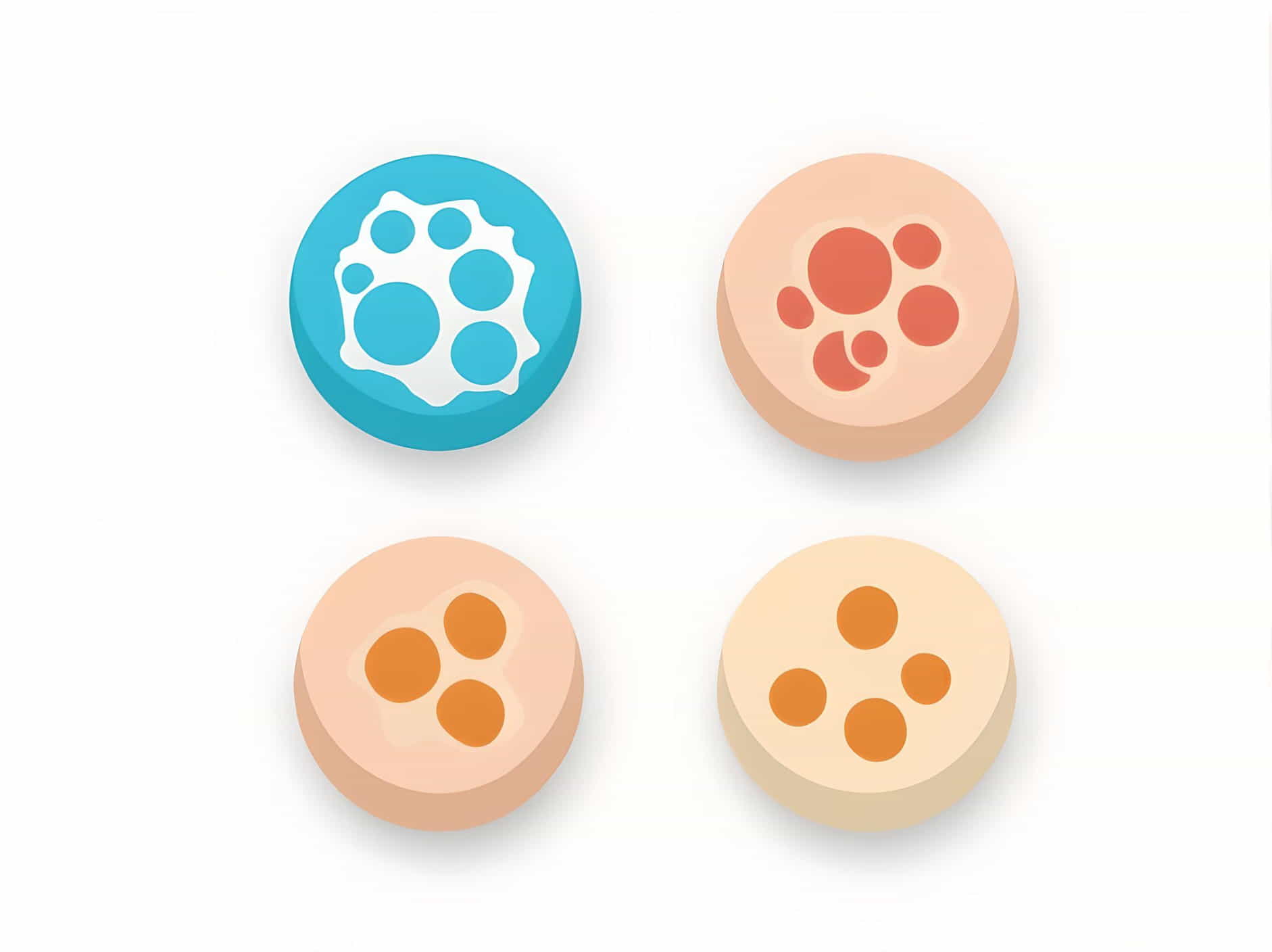 Describe Three Types Of Index Microfossils