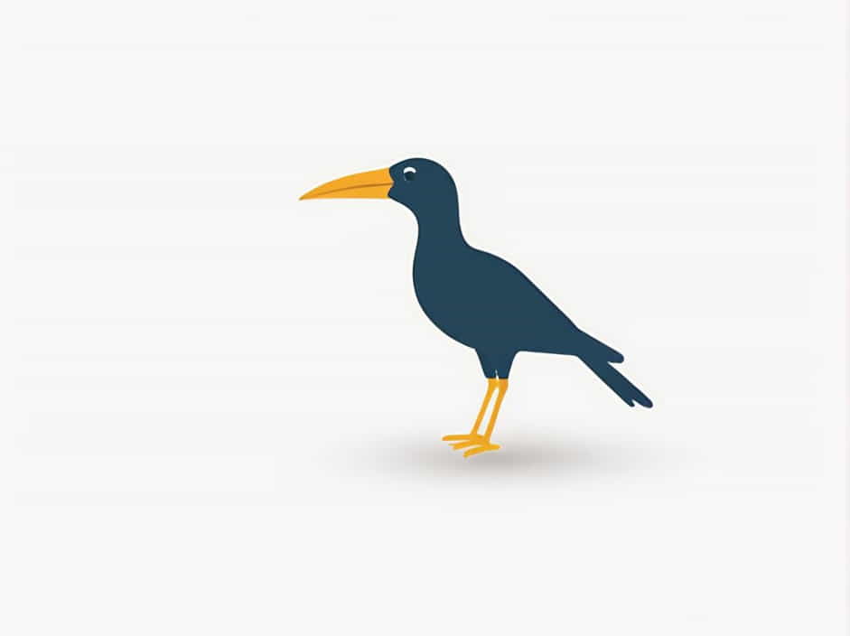 Name Of Bird With Long Beak