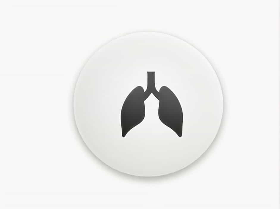 What Keeps The Trachea And Bronchi From Collapsing