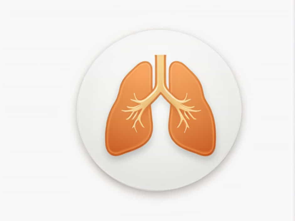 The Adrenal Glands Are Located Atop Each