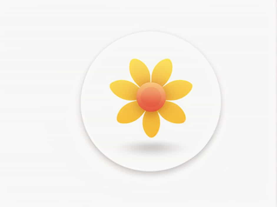 Transfer Of Pollen From Anther To Stigma