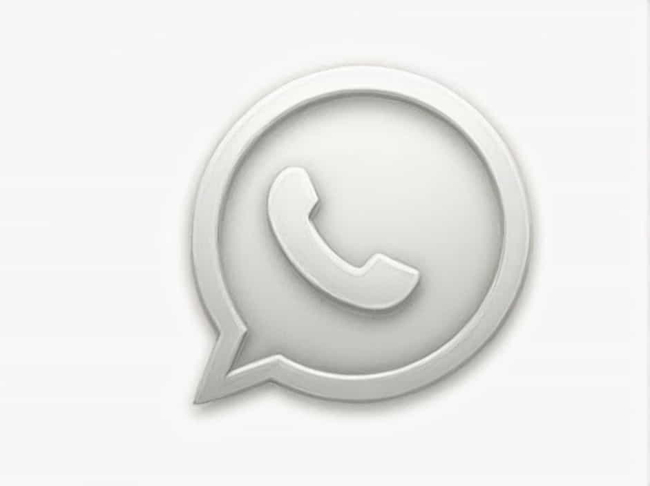 Un Solo Check Gris En Whatsapp