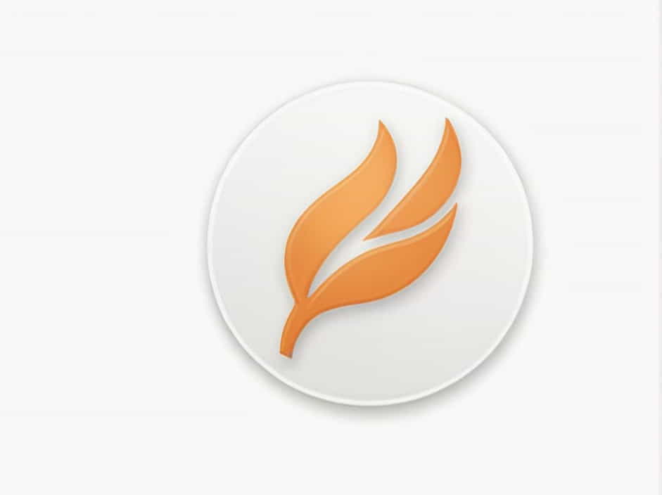 University Of Phoenix University Of Phoenix