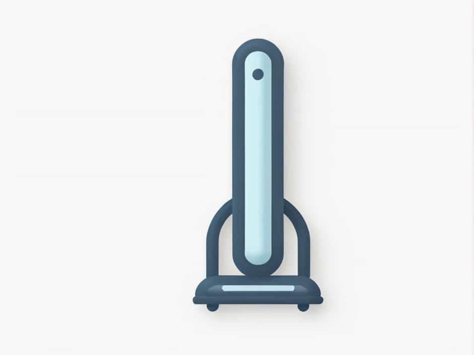 What Is The Function Of The Erector Spinae