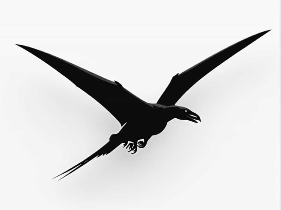 What Is The Size Of A Pterodactyl