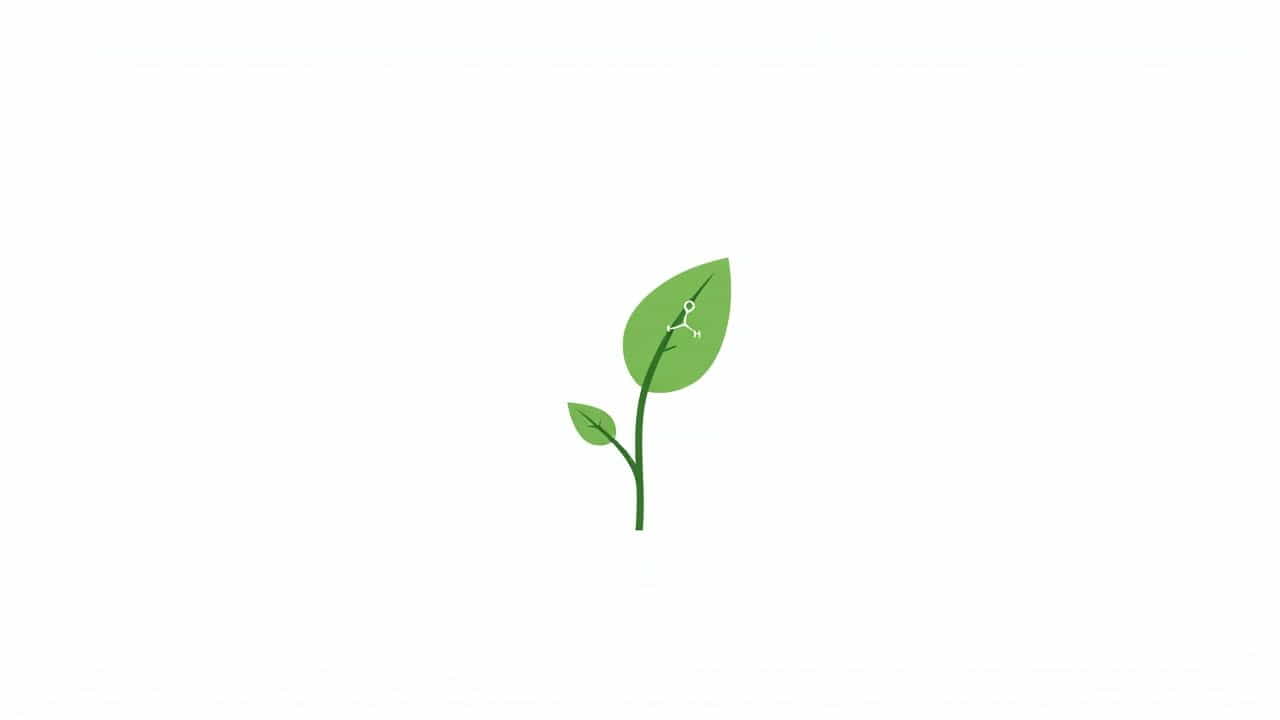 What Is Alkaloid In Plants