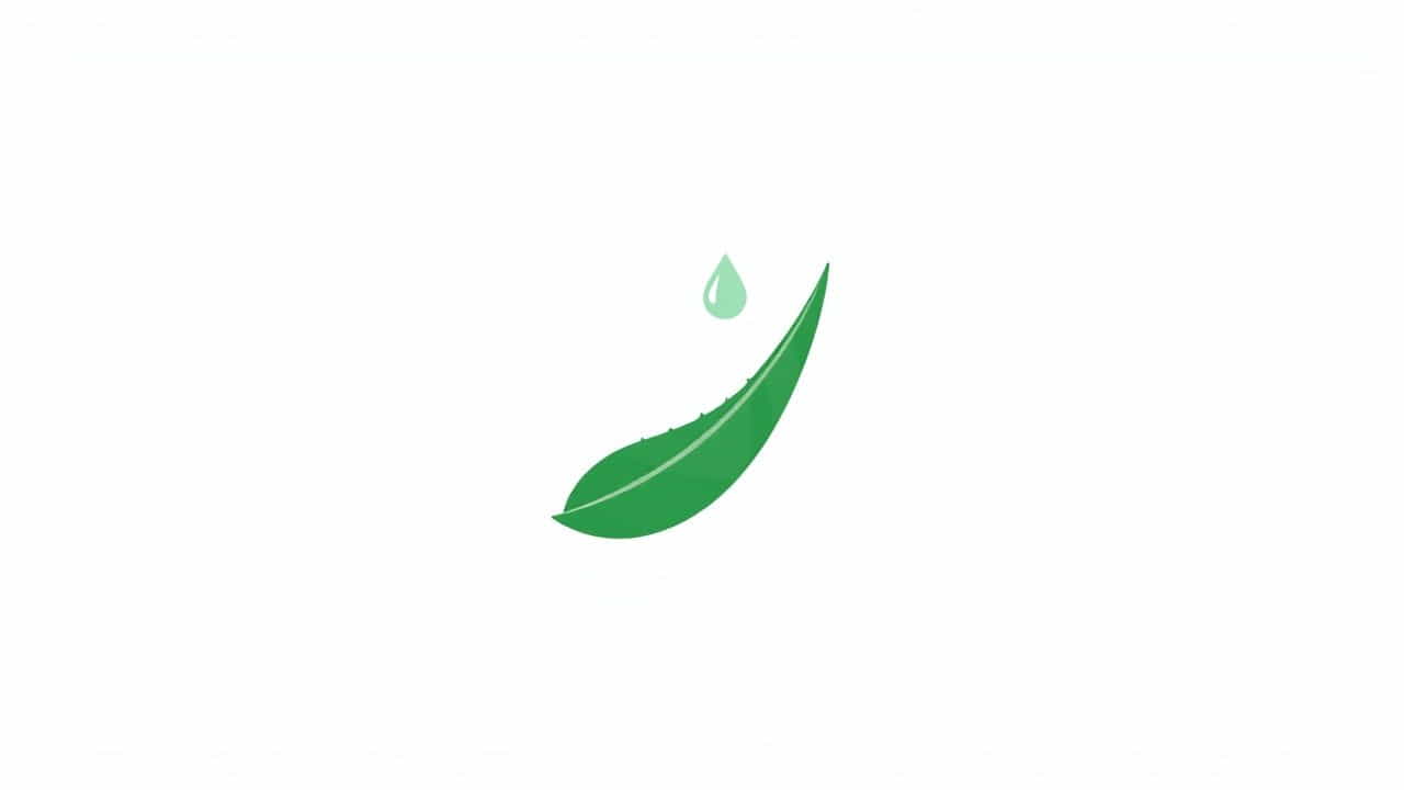 What Is Aloe Vera Gel