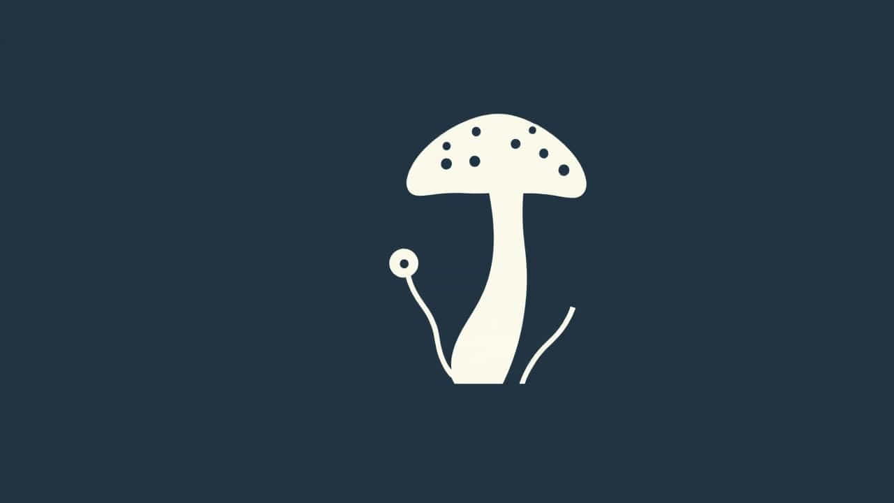 What Is Mycology In Microbiology