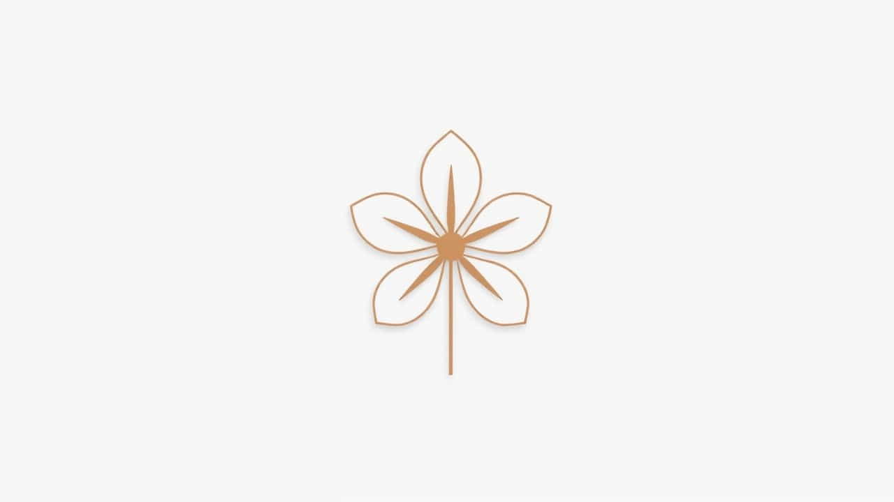What Is Polyandrous In Flower