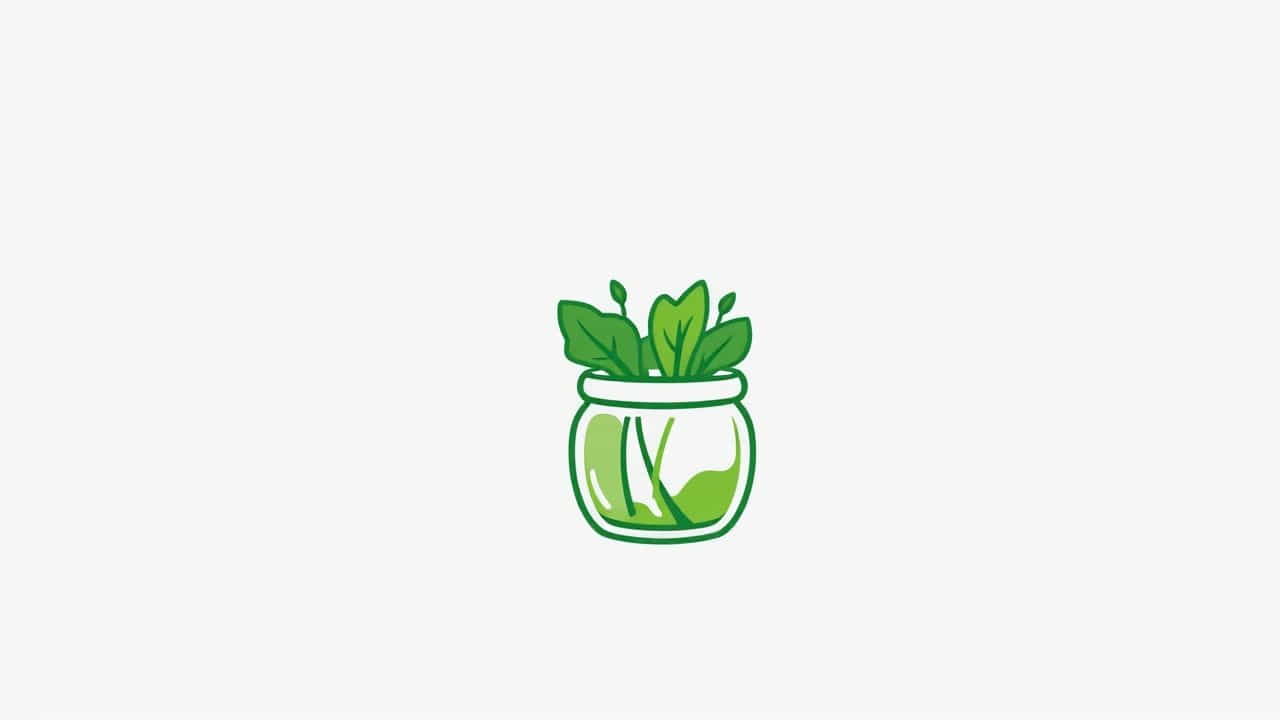 What Is Tianjin Preserved Vegetable