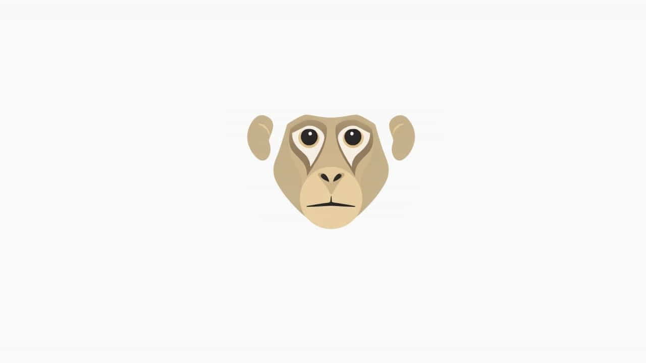 What Is A Japanese Macaque