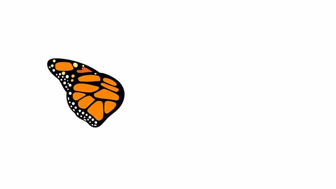 What Is A Monarch Butterfly