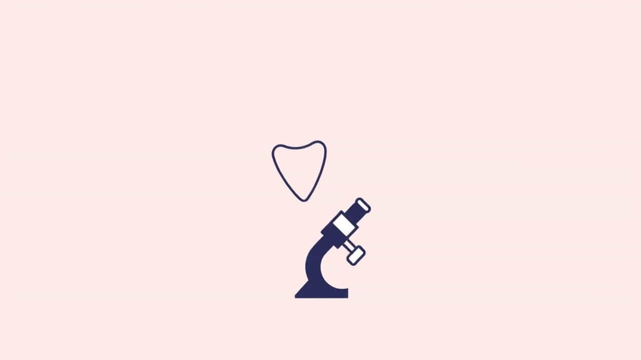 What Is A Pap Smear