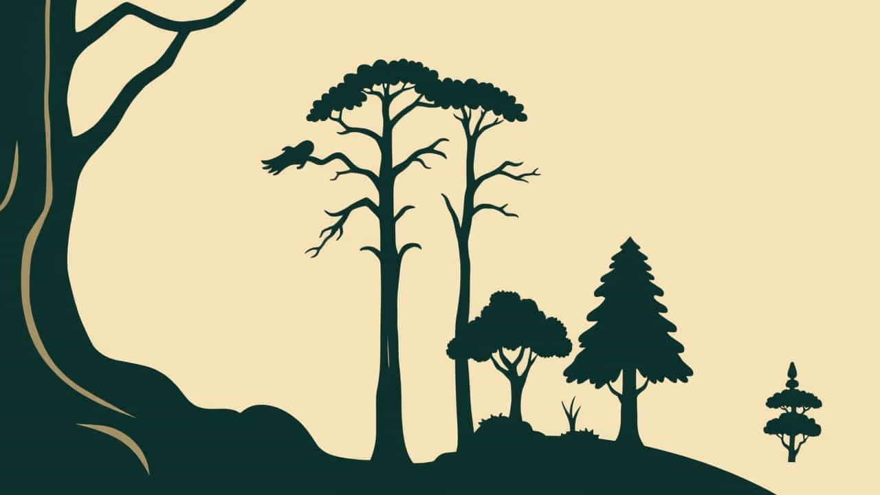 What Is A Primeval Forest
