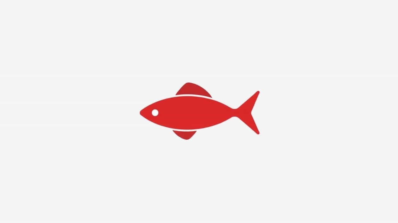 What Is A Red Herring