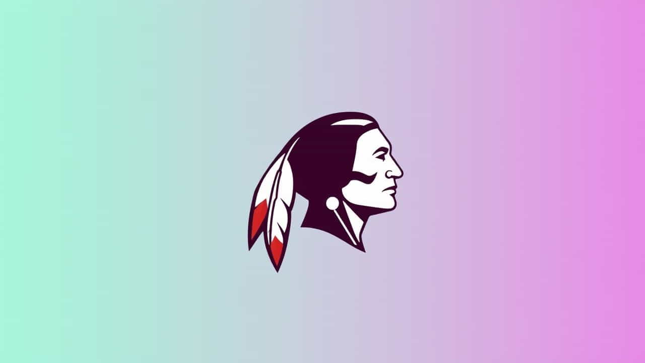 What Is A Redskin Definition
