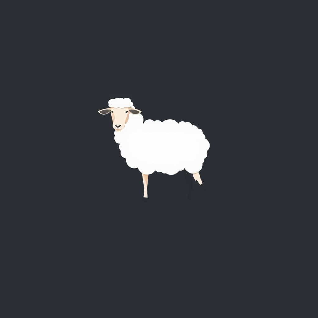 What Is A Wedder Sheep