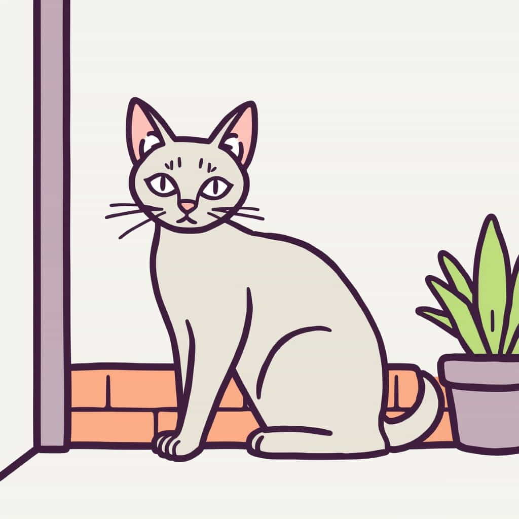 What Is An Alley Cat