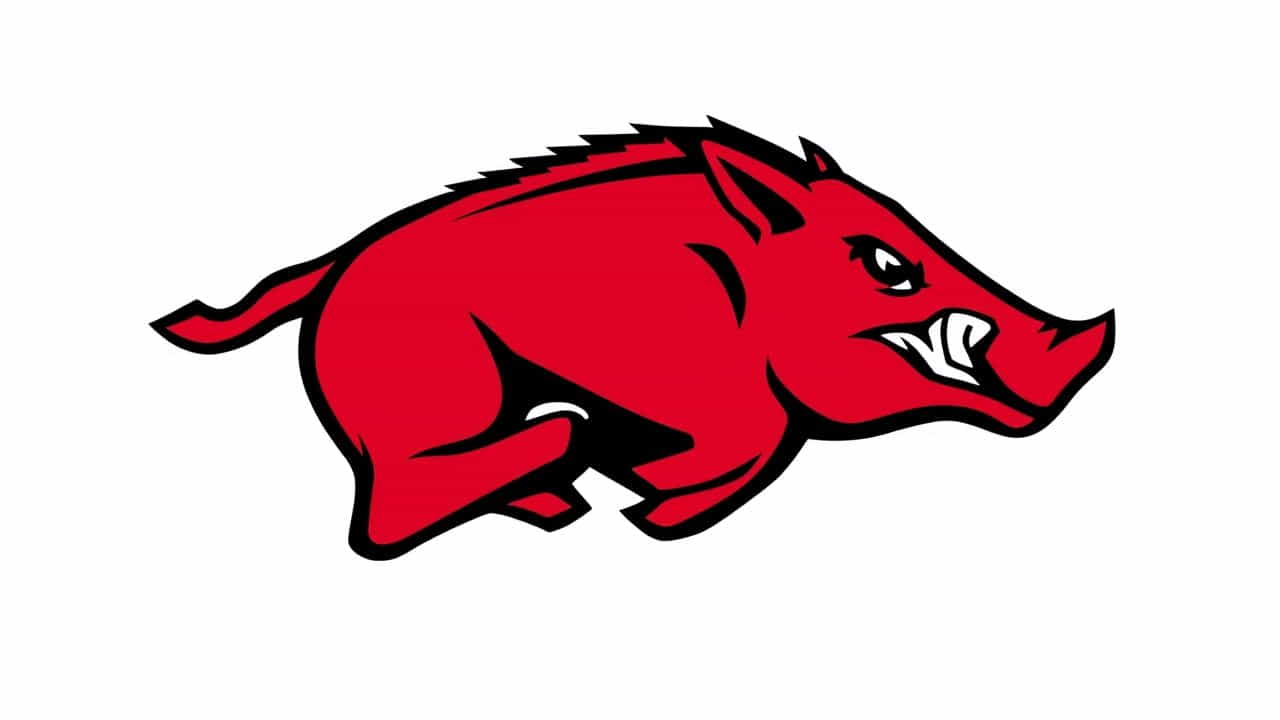 What Is An Arkansas Razorback