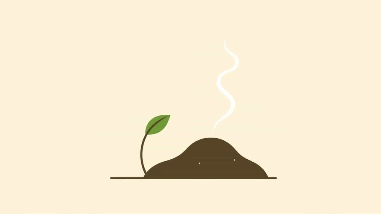 What Is An Earthy Smell