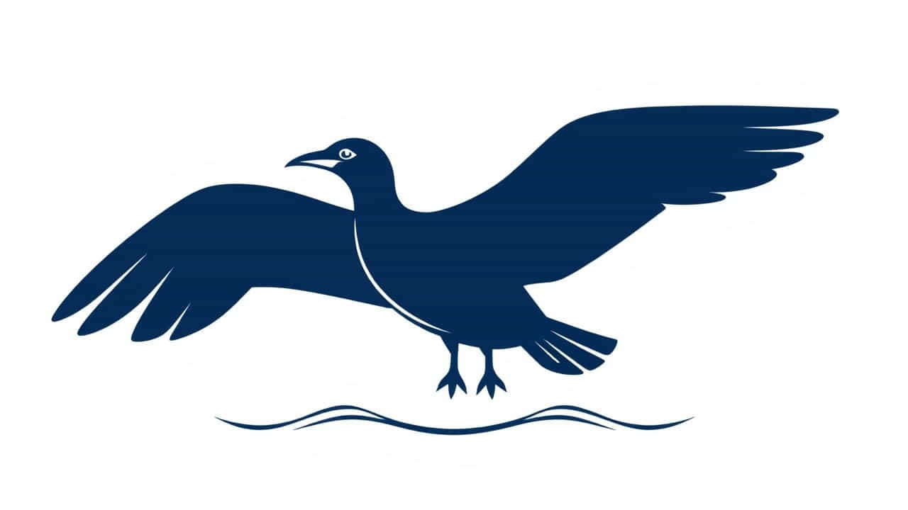 What Is The Largest Seabird