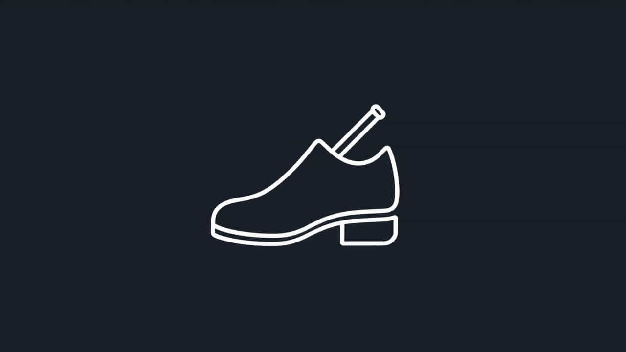 What Is A Shoe Horn